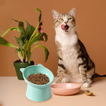 Qpets® Elevated Cat Bowl, Ergonomic Tilted Design, Anti-Slip, Durable PP Material, Easy Clean Feeding Bowl with Spoon, Prevents Whisker Fatigue & Vomiting, Ideal for Cats & Kittens