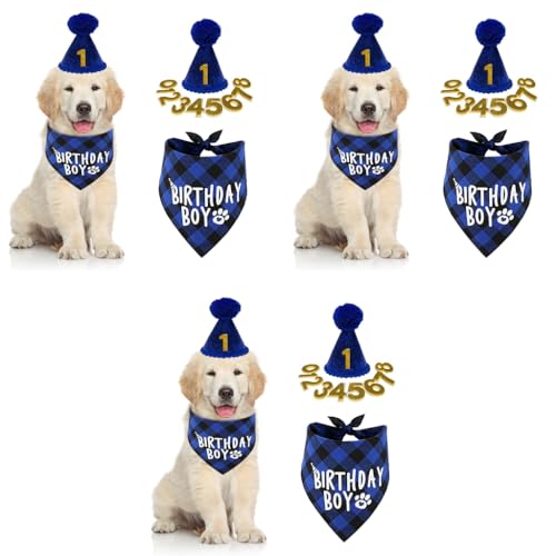 Qpets® Dog Gifts Hat for Birthday Cute Party Bandana Supplies Set Number Label Square Scarf Doggie Blue Pack of 1 3PCS