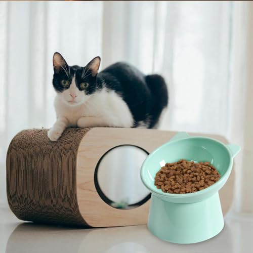 Qpets® Elevated Cat Bowl, Ergonomic Tilted Design, Anti-Slip, Durable PP Material, Easy Clean Feeding Bowl with Spoon, Prevents Whisker Fatigue & Vomiting, Ideal for Cats & Kittens