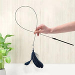 Qpets® Cat Teaser Wand with Suction Cup Design Feather Interactive Kitten for Indoor Cats 3 PCS