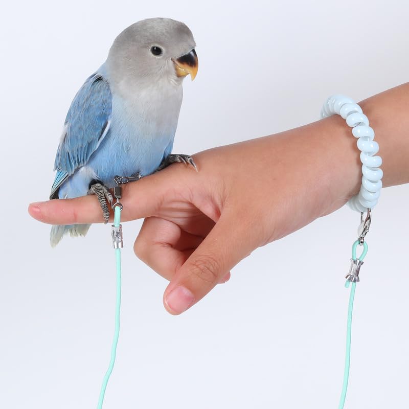 Qpets® 6.6ft Parrot Leash with 5 Sizes Adjustable Leg Metal Loops, Lightweight Stretchy Bird Flying Training Rope with Elastic Wrist Coil for Parrots, Macaws, Cockatoos, Parakeets, and Other Pet Birds
