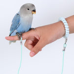 Qpets® 6.6ft Parrot Leash with 5 Sizes Adjustable Leg Metal Loops, Lightweight Stretchy Bird Flying Training Rope with Elastic Wrist Coil for Parrots, Macaws, Cockatoos, Parakeets, and Other Pet Birds