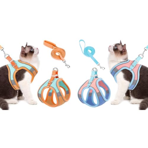 Qpets® Cat Harness & Leash Combo, Adjustable Breathable Vest with Safety Reflective Strip, 1.5m Leash, for Small Cat & Dog, Outdoor Walk, Travel, Training, Orange & Blue, M Size