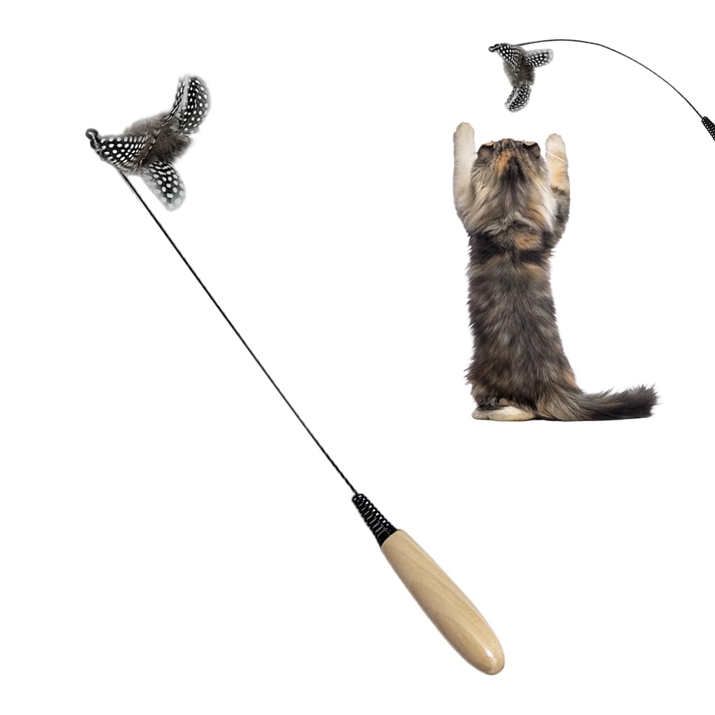 Qpets Cat Teaser Wand for Interactive Play with 0.8mm Fiberglass Rod and Beechwood Handle | Natural Feather Bell Toy