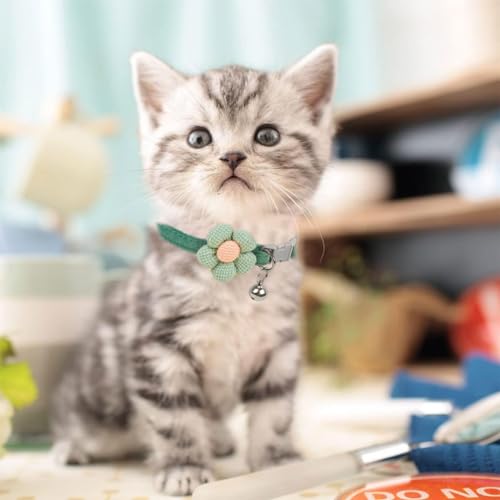 Qpets® Cat Collar Cute Flower with Bell Lovely Quick Release Adjustable Soft Plush Gift Green 3PCS