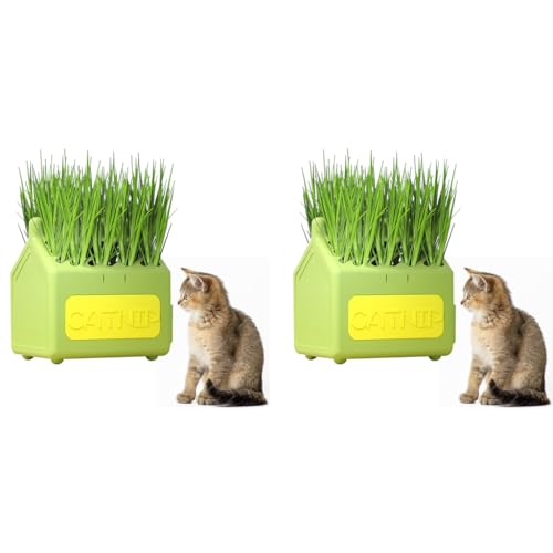 Qpets® Cat Grass Planting Box Catnip Growing House Cartoon Pot Plastic Home Décor Element Not Contain Grass 12x9x12CM 2PCS
