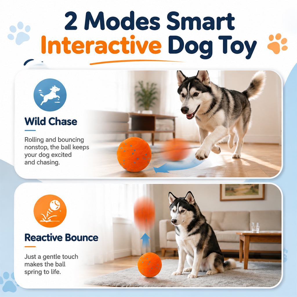 Qpets Interactive Dog Ball with 10mm ETPU Shell, Two Play Modes and IPX7 Waterproof Design