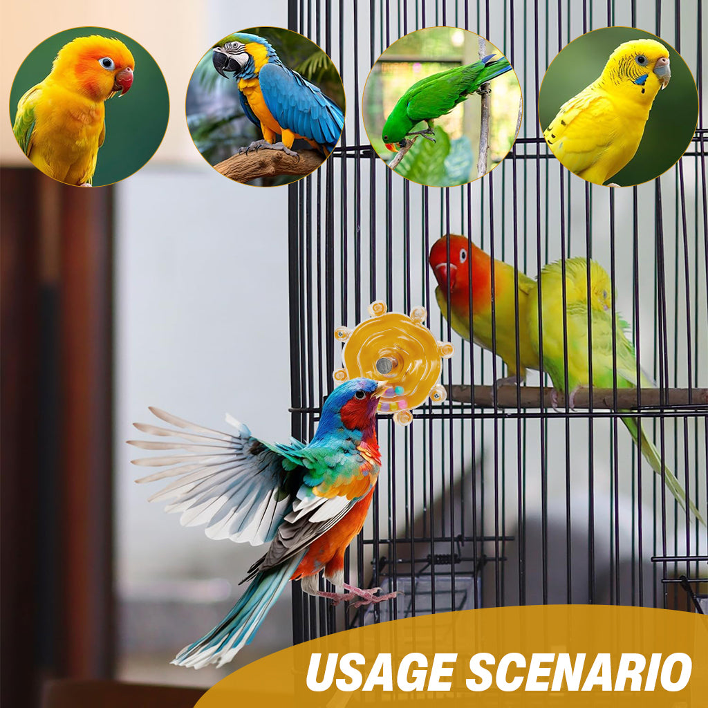 Qpets Bird Foraging Spin Wheel with Smooth Rotation for Parakeets, Cockatiels and Conures