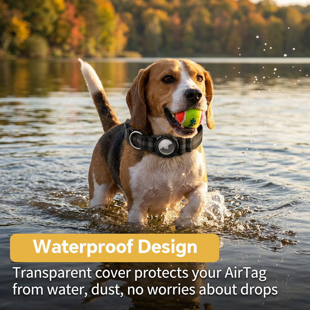 Qpets Reflective AirTag Dog Collar for Medium Dogs with Waterproof Holder, Padding and Dual D Rings