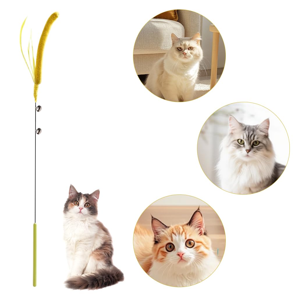 Qpets Cat Teaser Wand for Indoor Play with 19.69 in Wire & Realistic Foxtail Grass Attachment
