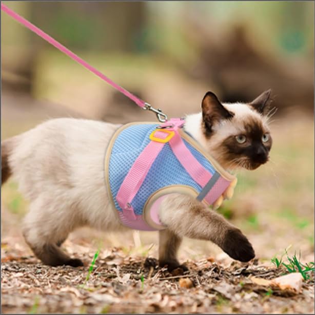 Qpets Cat Vest Harness for Outdoor Walking with 1.5m Leash and 360 Swivel Hook | M Size 35–40cm