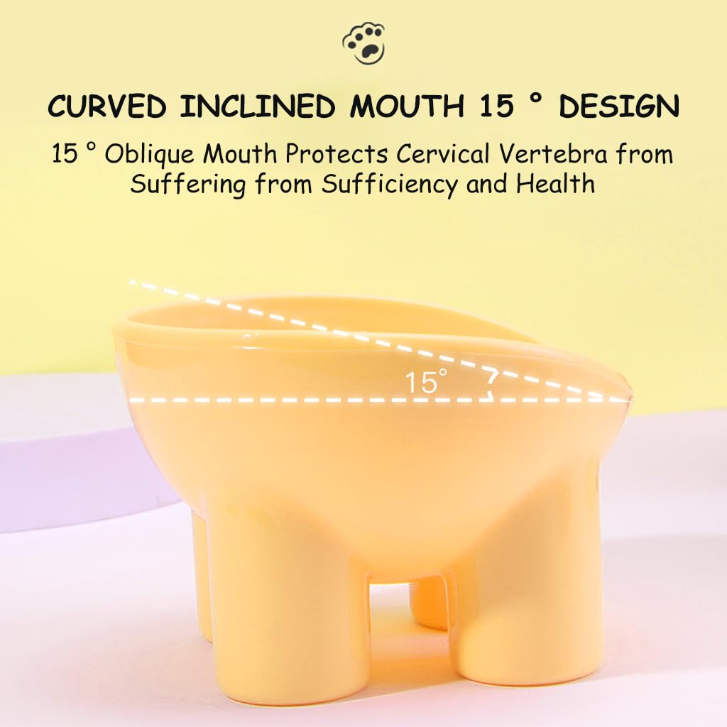 Qpets Elevated Cat Bowl with 3.5 in Raised Stand and Whisker-Friendly 5.4 in Design | PP Safe Anti-Tip Feeder