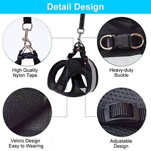 Qpets® Cat Harness for Small Pets Adjustable Belt with Safety Reflective Strip Breathable Vest Mesh Fabric Accessories Leash Black Suitable for 1-2.5 KG 2PCS