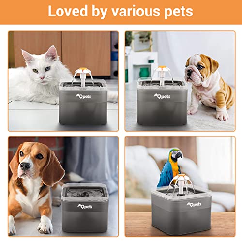 Qpets® Neverland Cat Water Fountain with LED Light 67oz 2.0L Ultra Quiet Drinking Fountain with Filter Automatic Pet for Cats and Small Dogs Grey 2 PCS