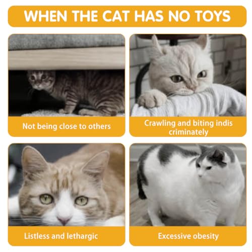 Qpets® Cat Tunnel for Indoor Cats Elastic Spring Playing Toys with Feather Tail Teaser Toy Small Pet 2 PCS