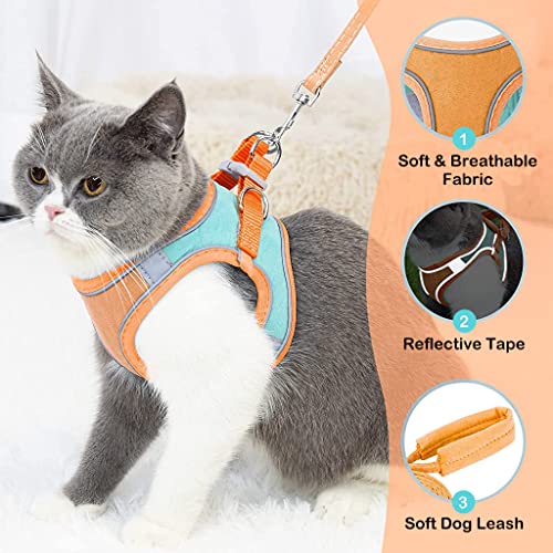 Qpets® Cat Harness & Leash Combo, Adjustable Breathable Vest with Safety Reflective Strip, 1.5m Leash, for Small Cat & Dog, Outdoor Walk, Travel, Training, Orange & Blue, M Size