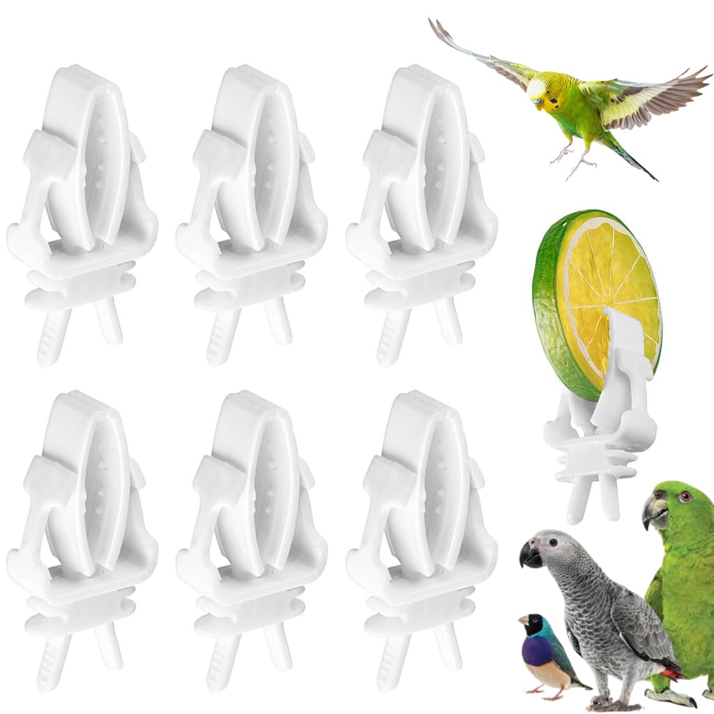 Qpets Pet Food Clip for Bird Cages with Secure Grip Holders 6 pcs in White Plastic | Easy Feeding
