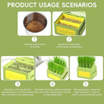 Qpets® Cat Grass Planting Box Catnip Growing House Cartoon Pot Plastic Home Décor Element Not Contain Grass 12x9x12CM 2PCS