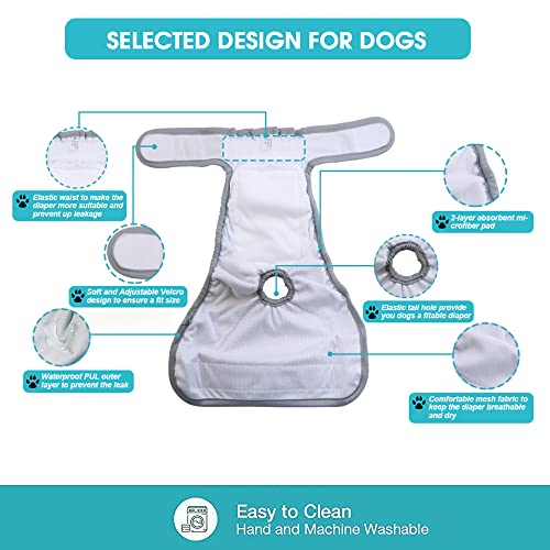 Qpets® Diaper for Dogs Female 2 Pack Pet Use Soft Reusable Dog Diapers 160ml Water Absorbption Comfort for Puppy L Recommended Waist 19-27 3PCS