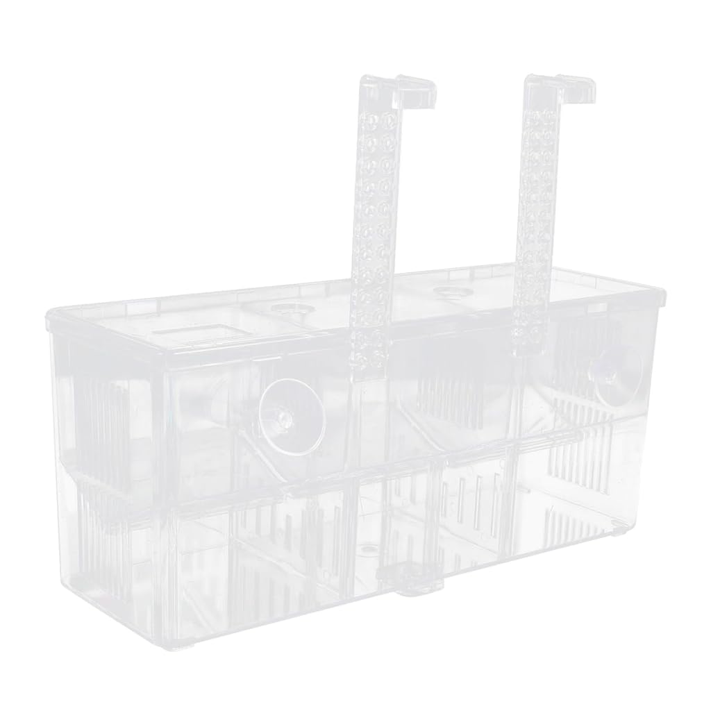 Qpets® Guppy Breeding Box Aquarium Isolation