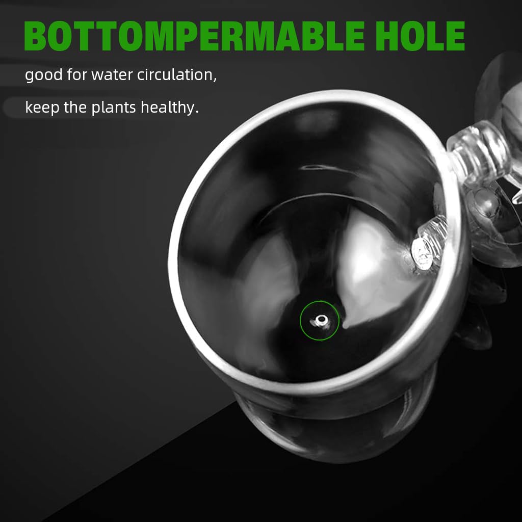 Qpets Aquatic Plant Glass Pot for Aquarium with Dual Suction Cups and Slanted Mouth | Clear Planter for Fish Tank Decor