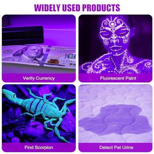 Qpets® UV Light Torch 12 LED UV Portable Flashlight Jade Appraisal Light Detector Lamp, Also Used for Leak, Pet Urine, Bed Bug, Scorpion, Hotel Inspection 2 PCS