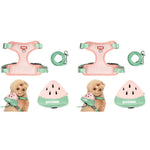 Qpets Dog Harness Vest for Small Pets featuring Removable Zipper Pouch and 4 Way Adjustment | Includes Leash 2PCS