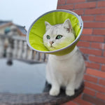 Qpets Cat Cone Collar for Post Surgery Recovery with Dual Snap Buttons and Drawstring | 2PCS for Cats 1.5–3Kg