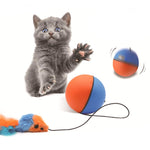 Qpets Cat Ball Toy for Indoor Cats with Auto Rotating Electric Design and Feather Tail