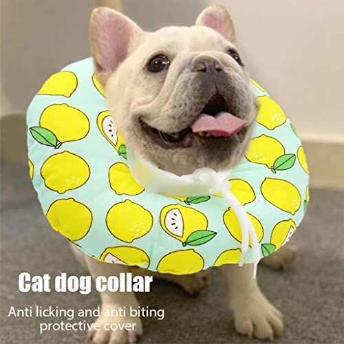 Qpets® Cat Cone Collar Adjustable Soft Elizabethan for Cats Small Dogs Comfy PP Cotton Protective E-Collar After Surgery Anti-Licking Design Detachable Machine Washable Cover S 12-22cm 3PCS