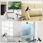 Qpets® Cat Teaser Wand with Suction Cup Design Feather Interactive Kitten for Indoor Cats 3 PCS