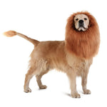 Dog Lion Mane Funny Headwear for Lion Mane for Dogs Lion Hair Ear Headwear for Dog Halloween Party Festival Headwear(Gold)