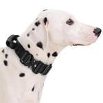 Qpets® Training Dog Collar with Control Handle - Adjustable Nylon Collar with Quick-Release Buckle & D-Ring for Obedience Training & Safe Walking (Size L)