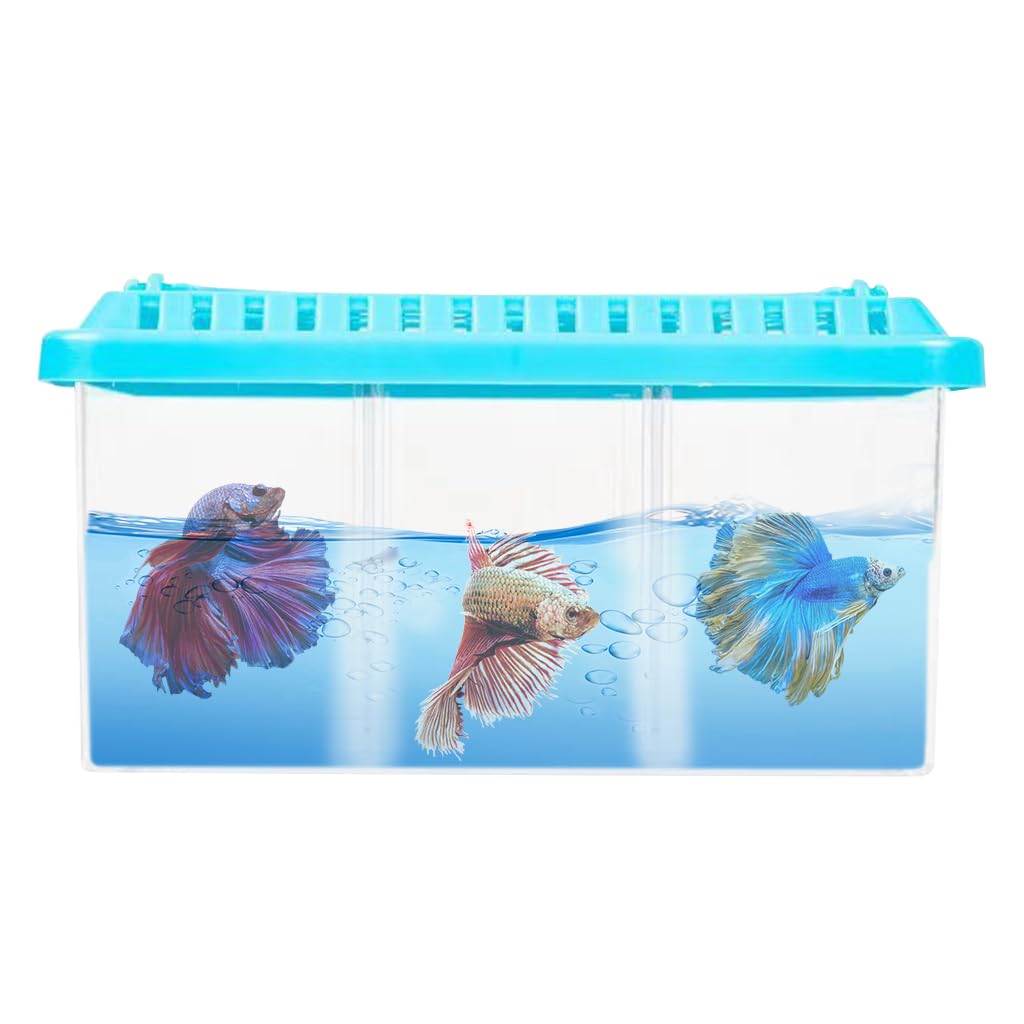 Qpets Mini Desk Fish Tank for Home or Office with 3 Layer Dividing Inserts and Air Lid | Clear Acrylic 9.5×19 cm