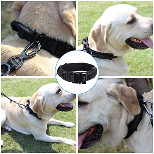 Qpets® Dogs Collar for Large Adjustable Nylon Tactical Belt with Strap Handle Training Quick Release Metal Buckle Medium Adult 43-52Cm Black 2PCS