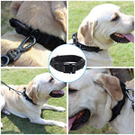 Qpets® Dogs Collar for Large Adjustable Nylon Tactical Belt with Strap Handle Training Quick Release Metal Buckle Medium Adult 43-52Cm Black 2PCS