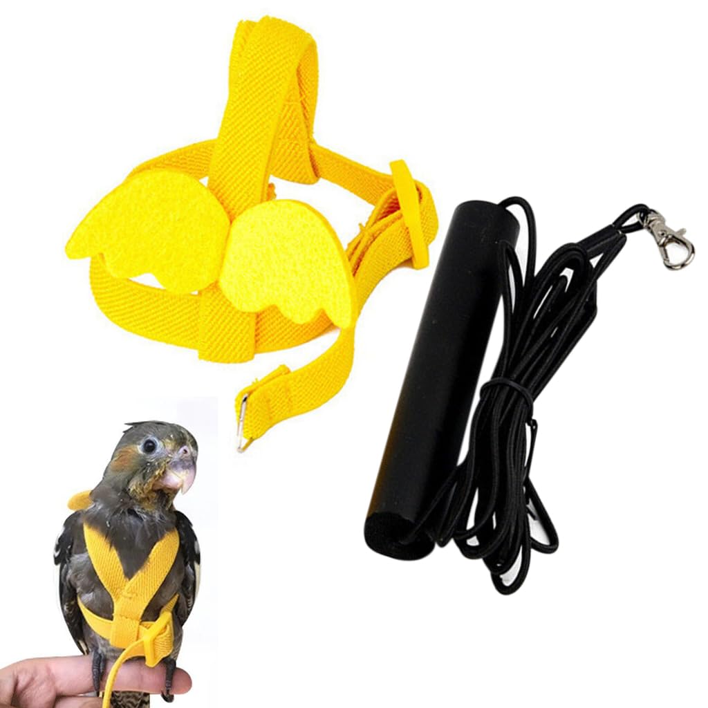 Qpets Bird Harness for Parrots with 2 m Elastic Leash and Quick Release Buckle | Adjustable Soft Belt
