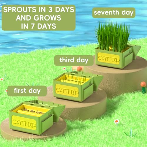 Qpets® Cat Grass Planting Box Catnip Growing House Cartoon Pot Plastic Home Décor Element Not Contain Grass 12x9x12CM 2PCS