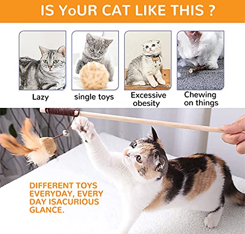 Qpets® Premium Cat Toy Interactive Toys Set of 5 Teaser Wand Pet Activity Fishing Rod with Mouse Natural Feathers for Kittens to Play Games 2PCS
