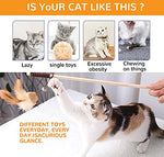 Qpets® Premium Cat Toy Interactive Toys Set of 5 Teaser Wand Pet Activity Fishing Rod with Mouse Natural Feathers for Kittens to Play Games 2PCS