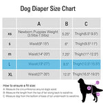 Qpets® Diaper for Dogs Female, 2 Pack Pet Use Soft Reusable Dog Diapers, 160ml Water Absorbption Comfort Doggy for Dogs & Puppy (L, Recommended Waist 19-27 inch) 2PCS