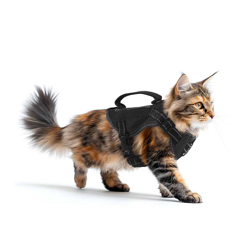 Qpets® Cat Harness Adjustable Escape Proof Soft Mesh Vest with Reflective Design and Handle for Walking Training Outdoor Use