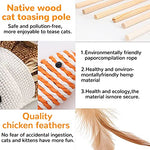Qpets® Premium Cat Toy Interactive Toys Set of 5 Teaser Wand Pet Activity Fishing Rod with Mouse Natural Feathers for Kittens to Play Games 2PCS