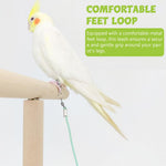 Qpets Parrot Aviator Leash for Outdoor Flying with 6.6ft Elastic Cord and Adjustable Buckle | 2PCS Set