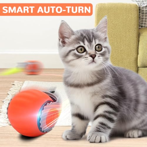 Qpets® Electric Cat Ball Toy Cat Teaser with 2 Speed Fun Speedy Chasing Teasing Tail Bell Charm Self Entertainment USB Rechargeable 3 PCS