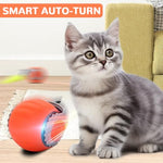 Qpets® Electric Cat Ball Toy Cat Teaser with 2 Speed Fun Speedy Chasing Teasing Tail Bell Charm Self Entertainment USB Rechargeable 3 PCS