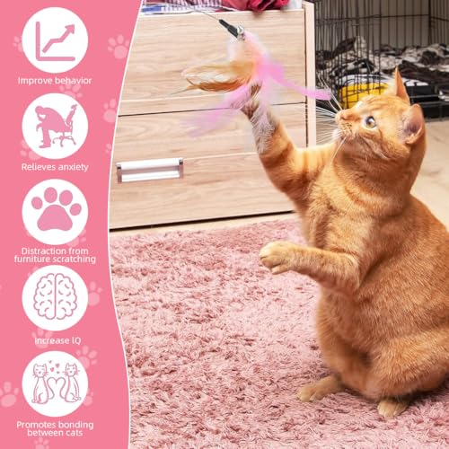 Qpets® Cat Toys Feather Collar Adjustable Stylish Design Interactive Elastic for Kittens Funny Playing Indoor 3PCS 20-32CM