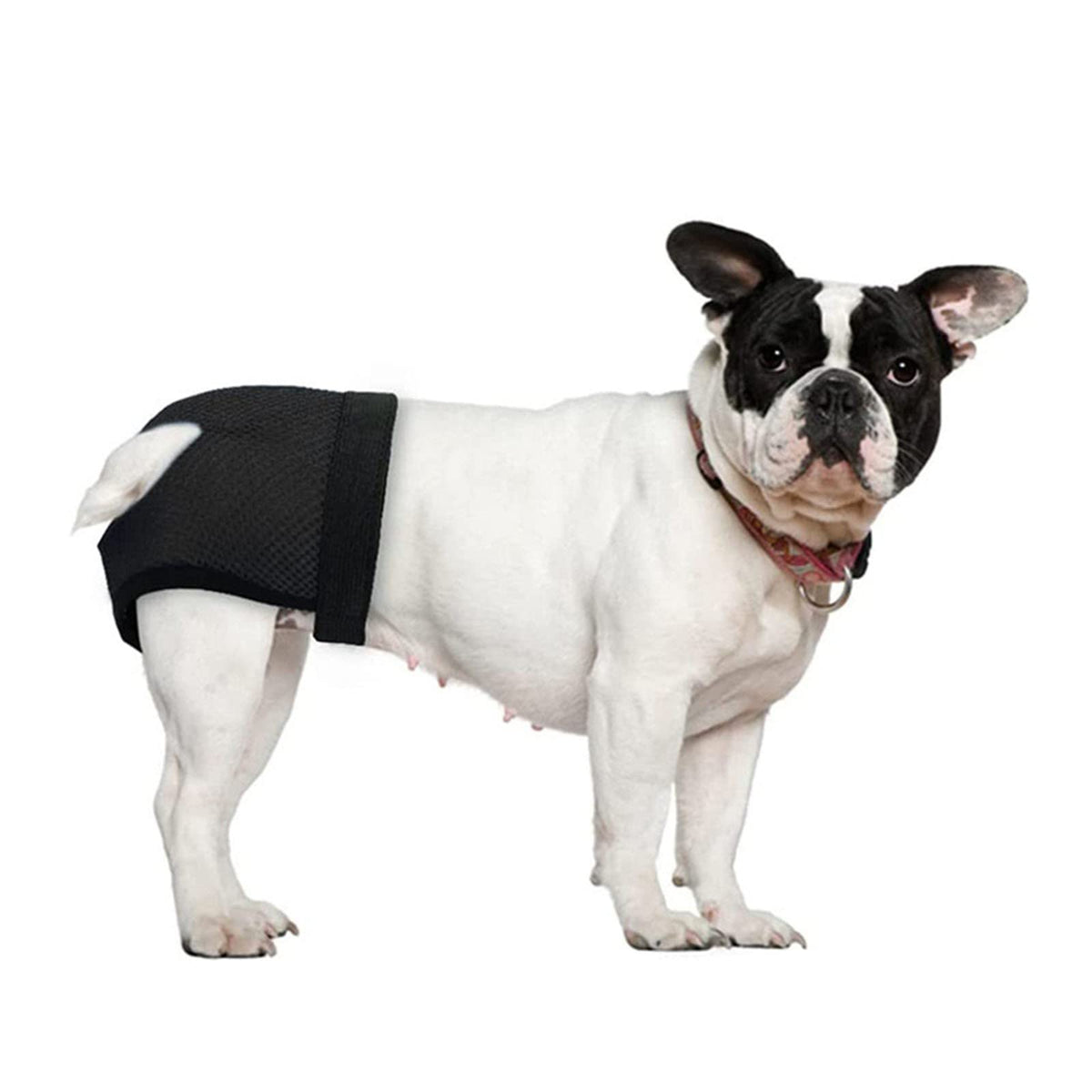 Qpets Dog Diapers for Female Dogs with 9 Absorbent Cotton Pads and Elastic Waist | Washable Mesh Fabric Comfort Fit 15.7–19.2 in