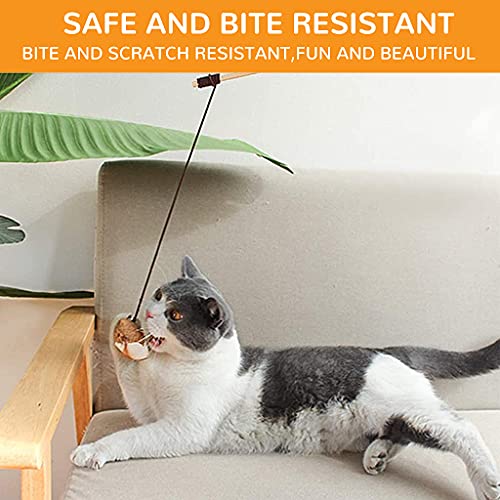 Qpets® Premium Cat Toy Interactive Toys Set of 5 Teaser Wand Pet Activity Fishing Rod with Mouse Natural Feathers for Kittens to Play Games 2PCS