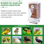 Qpets® Bird Feeder for Cage, Food Parrot Seed Feeders with Perch, Acrylic Transparent Container Cages for Lovebirds Parakeets - 3.35 x 2.95 x 7.28 inches 3PCS